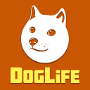 Doge十六岁